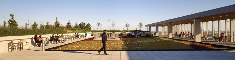 An elevated terrace is another favourite patient gathering space. Photo by Tom Arban